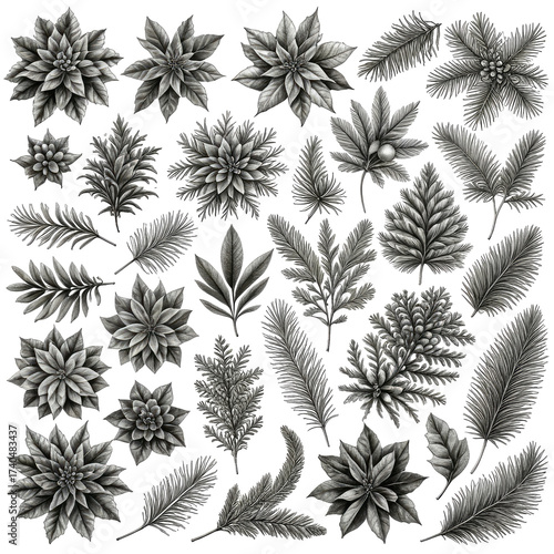 Black and white botanical illustration with various floral and leafy elements