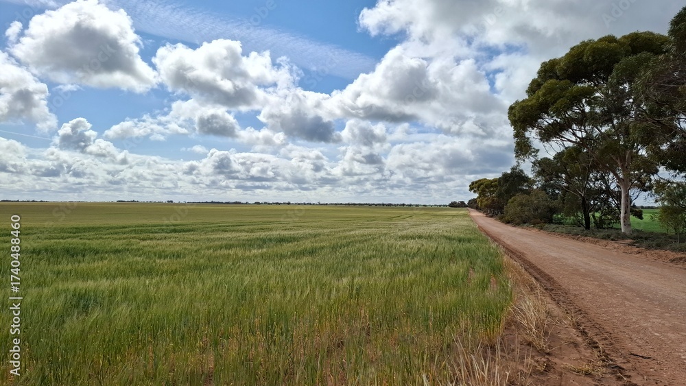 Fototapeta premium green field and cloudy sky