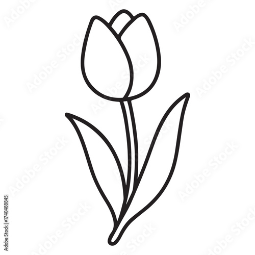 Simple outline drawing of a single tulip flower with its stem and two leaves, featuring a closed bud, perfect for spring themes, gardening projects, coloring books, and floral graphic design.