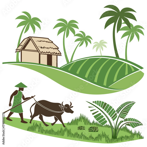 Farmer with water buffalo plowing field near tropical hut and palm trees rice paddy agriculture