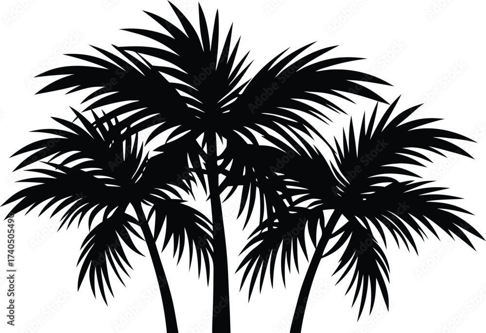 Obraz premium Beautiful palm tree leaf silhouette vector illustration