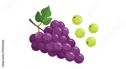 Illustration of a bunch of purple grapes with a leaf, alongside a few green grapes.