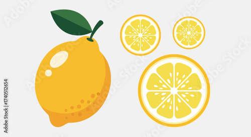 Illustration of a whole lemon with a leaf and three lemon slices, showcasing different sizes and details.