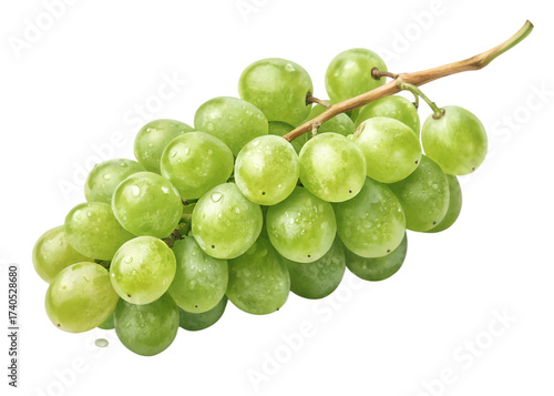 Fresh green grapes with water droplets on a dark background bunch of grapes fruit