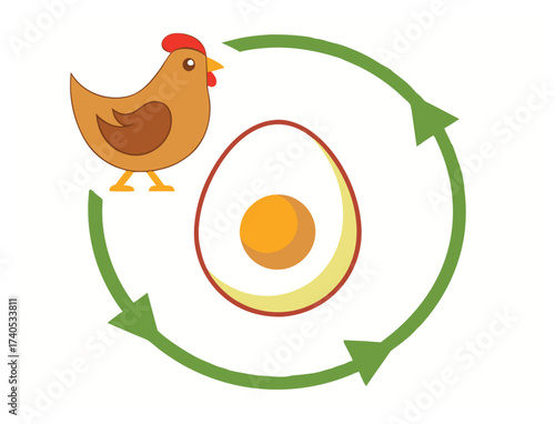 Chicken and Egg Cycle Graphic Illustration Life Process Concept
