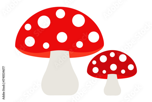 fly agaric mushroom