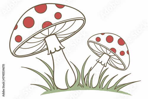 fly agaric mushrooms