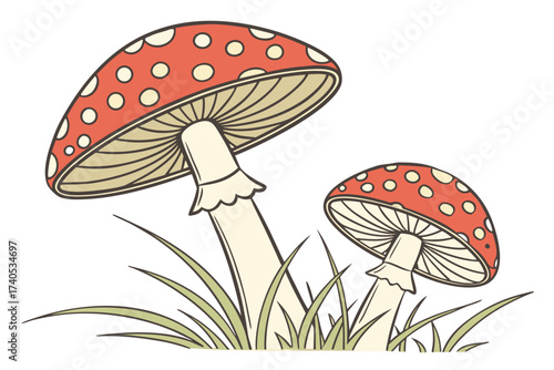 fly agaric mushrooms