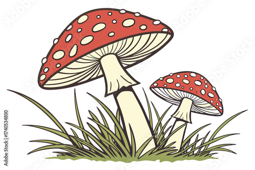 fly agaric mushroom