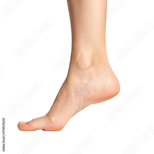 Close-up of a human leg, from ankle to toes, in profile.  Light skin tone.  Bare foot