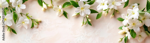 White jasmine flowers arranged on soft pastel background in horizontal banner format, elegant floral frame with green leaves. Concept of beauty, nature and celebration.