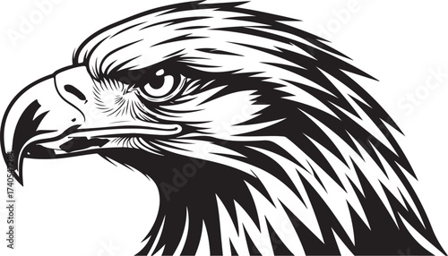 Majestic eagle head profile artwork