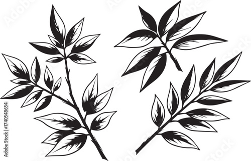 Botanical sketch branches leaves organic texture