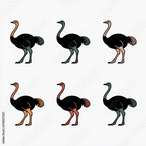 set of funny birds
