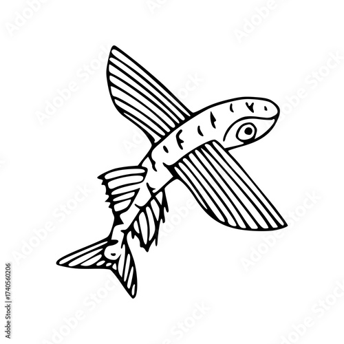 flying fish outline illustration