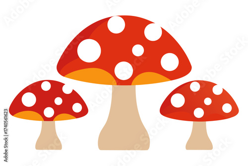 fly agaric mushroom