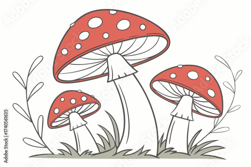 fly agaric mushroom