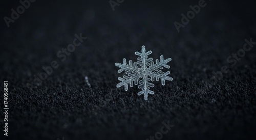 Close-up of a delicate snowflake on dark fabric
