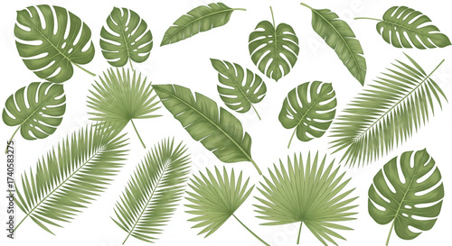 A collection of various green tropical leaves arranged against a white background.