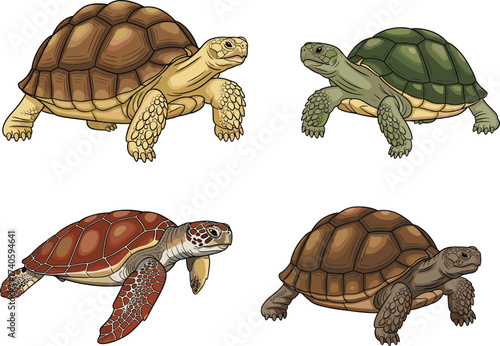 Cartoon turtle and tortoise collection, sea turtle and land tortoise vector illustration set, reptile wildlife animal design, cute cartoon character icons
