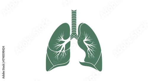 Diagrammatic representation of the human lungs offering insights into respiratory health for