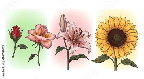 Floral Illustrations for Digital Design and Marketing