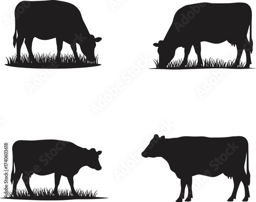 Cow silhouettes grazing on grass, black cattle illustration, rural livestock posture, farm animal design, agriculture concept, nature pasture, vector artwork