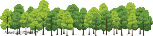Row of green forest trees illustration, natural woodland landscape, eco friendly environment, leafy foliage collection, outdoor greenery design, vector isolated artwork