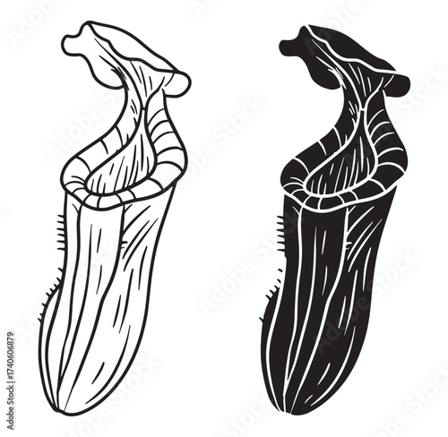 Black and white illustration of carnivorous pitcher plants in a minimalist style
