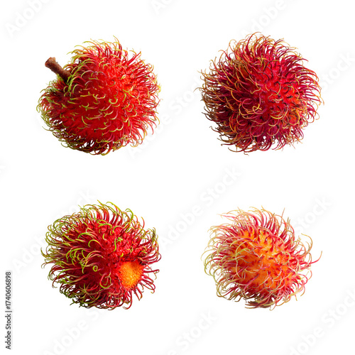 A collection of four fresh red rambutan fruits.