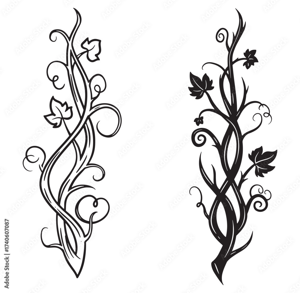 Obraz premium Decorative black and white vector illustrations of twisting vines with leafy elements for design