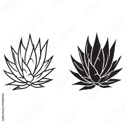 Two stylized agave succulent plants in black and white vector outline illustrations