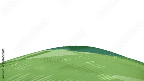 green leaf on a white background