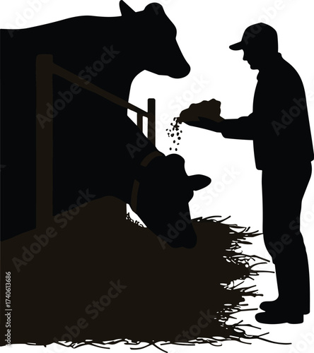 Farmer feeding two cows with bucket, livestock silhouettes, rural agriculture scene, farm animal care, black vector illustration, village farming concept