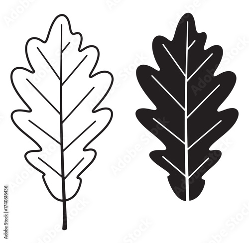 Simple black and white vector illustration of two oak leaves isolated on white