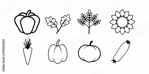 Illustration of various vegetables and plants including pepper carrot pumpkin sunflower and zucchini