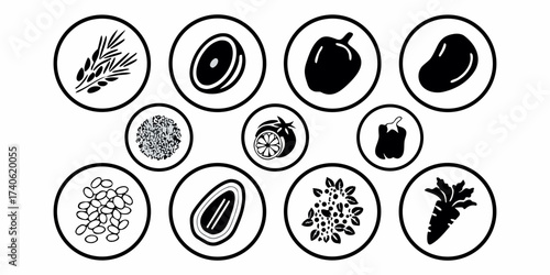 Illustration of wheat olive slice bell pepper potato seeds tomato pepper beans date berries carrot