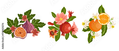 vector drawing composition with tropical fruits,flowers and green leaves, oranges,figs and pomegranates isolated at white background, hand drawn illustration