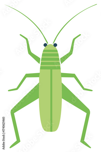 Illustration of a Green Grasshopper with Long Antennae and Distinctive Legs