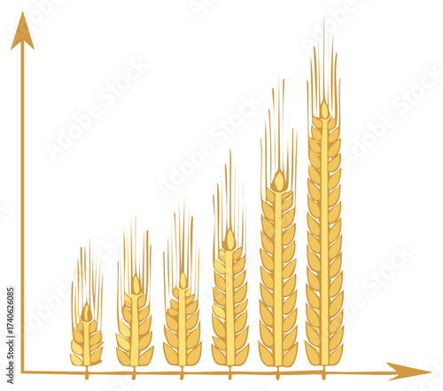 Agricultural Growth Chart with Increasing Wheat Ears Showing Farming Progress