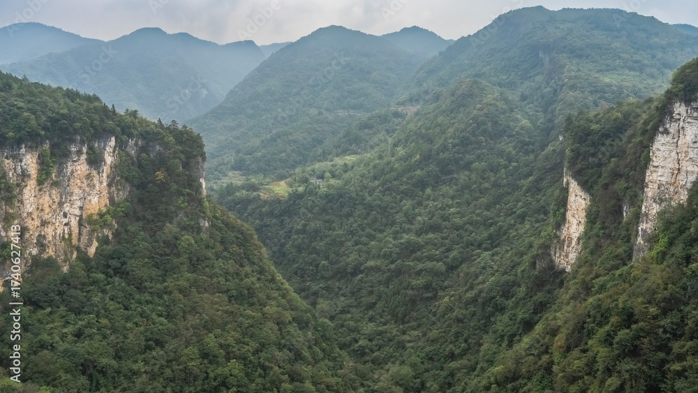 Fototapeta premium Beautiful mountain landscape. Thickets of green forest on steep slopes and in the gorge. China. Wulingyuan. Grand Canyon