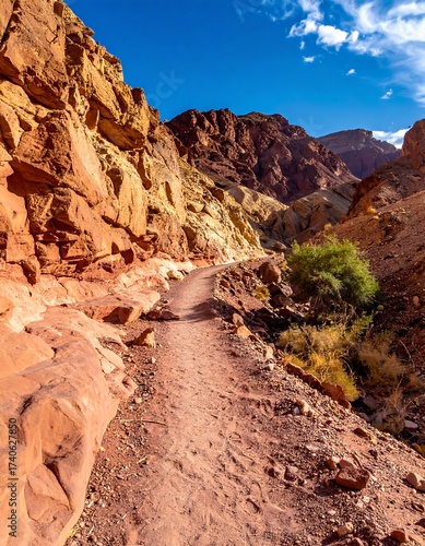 A desert path winds through tall, red sandstone cliffs under a bright blue sky