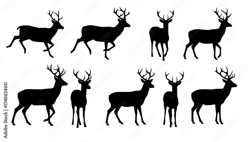 Fototapeta premium Vector art of a collection of eight majestic deer silhouettes, isolated on white background, showcasing various poses and antler configurations 