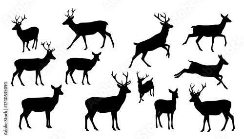 Vector art of a collection of eight majestic deer silhouettes, isolated on white background, showcasing various poses and antler configurations
