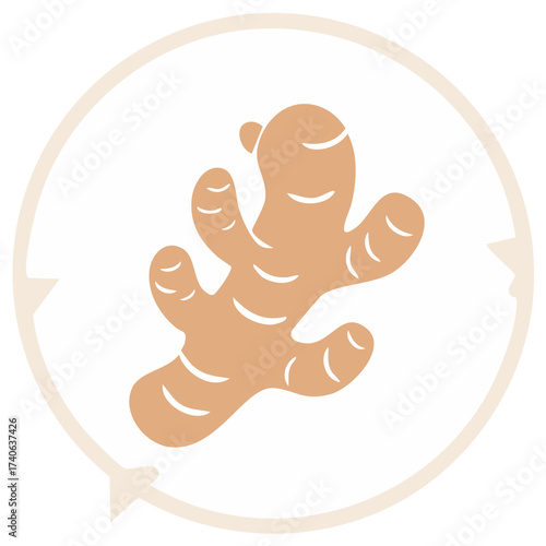 Minimalist illustration of fresh ginger root a natural culinary spice and health ingredient in a circular frame