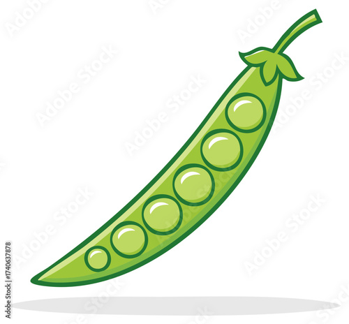 Fresh green pea pod with multiple round peas inside stylized cartoon art