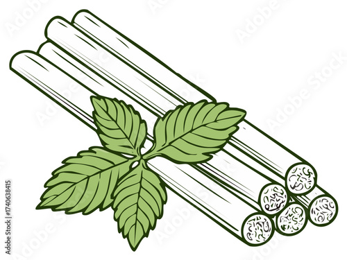 Cinnamon sticks with fresh green leaves drawing, natural spice ingredients flat lay
