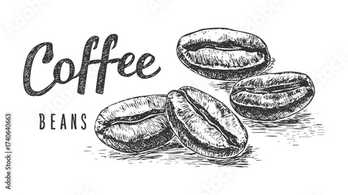 Sketched illustration of coffee beans with the text 'Coffee Beans' below on white background