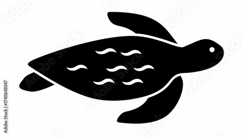 black and white shark