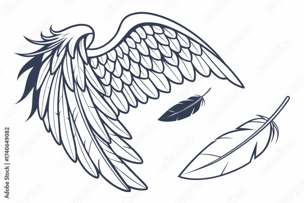 Fototapeta premium Bird wings vector illustration